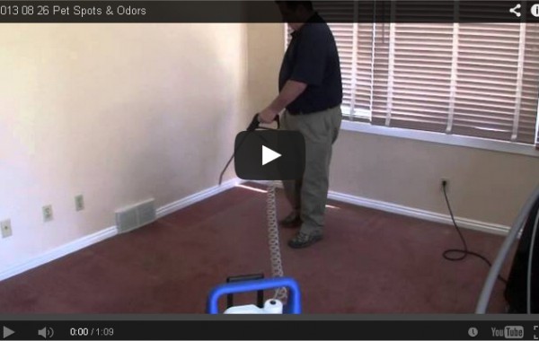 Pet Spots & Odours Video