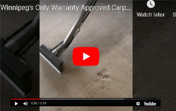 Carpet Cleaning Video